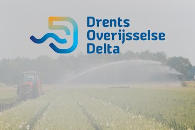 ‘Ze spreken onze taal’